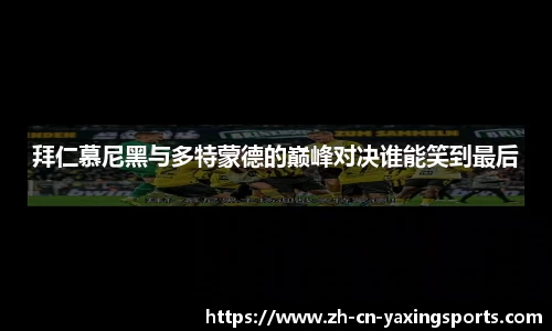 亚星体育APP